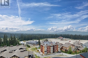 5085 Snowbird Way Unit# 101 - Photo 34