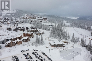 5085 Snowbird Way Unit# 101 - Photo 39