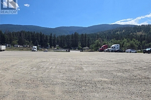 903 Raffan Road - Photo 64