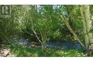 2405 Mabel Lake Road - Photo 3