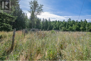2405 Mabel Lake Road - Photo 35