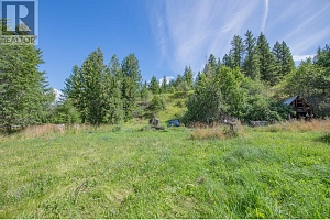 2405 Mabel Lake Road - Photo 37
