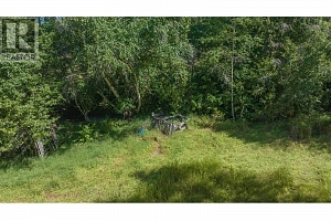 2405 Mabel Lake Road - Photo 42