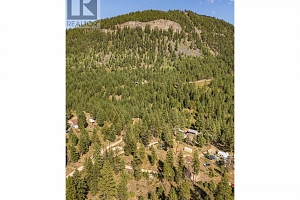 60 Smoker Road - Photo 40