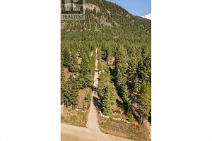 60 Smoker Road - Photo 43