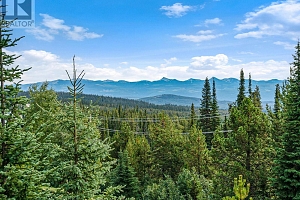 4833 Snowpines Road - Photo 17