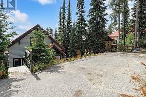 4833 Snowpines Road - Photo 33