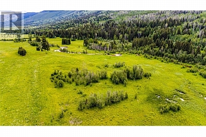 Lot 1 China Valley Road - Photo 10