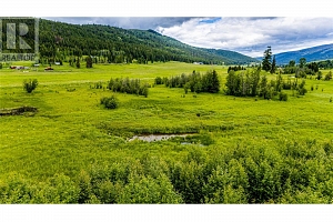 Lot 1 China Valley Road - Photo 11