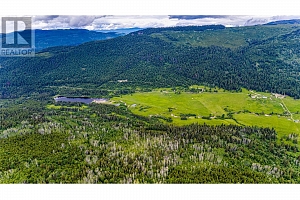 Lot 1 China Valley Road - Photo 13