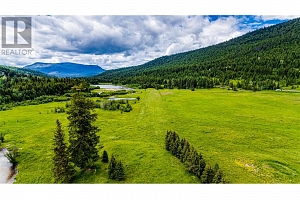 Lot 1 China Valley Road - Photo 19