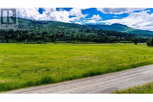 Lot 1 China Valley Road - Photo 32