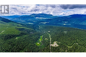 Lot 1 China Valley Road - Photo 6