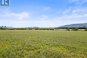 1176 Thomas Hayes Road - Photo 87