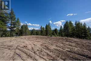 Lot B Goudie Road - Photo 13