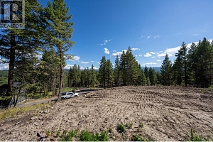 Lot B Goudie Road - Photo 14