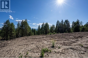 Lot B Goudie Road - Photo 15