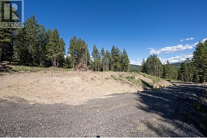Lot B Goudie Road - Photo 16