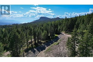 Lot B Goudie Road - Photo 4