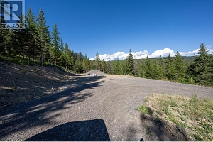 Lot B Goudie Road - Photo 8