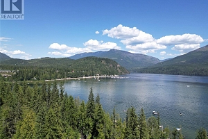 98 Mabel Lake Subdivision Road - Photo 28
