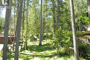 98 Mabel Lake Subdivision Road - Photo 37