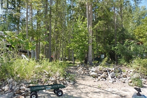 98 Mabel Lake Subdivision Road - Photo 38