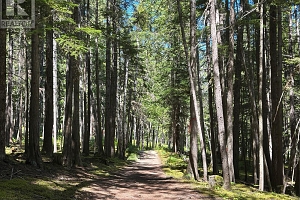 98 Mabel Lake Subdivision Road - Photo 46