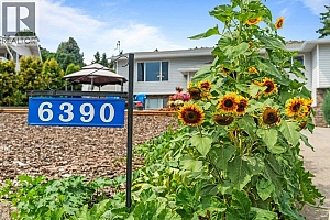 6390 Cardinal Road - Photo 2