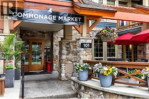 192 Wildsong Crescent - Photo 27