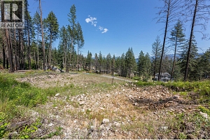 9508 Winchester Road Unit# (Parcel C) - Photo 10