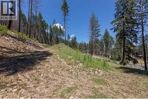 9508 Winchester Road Unit# (Parcel C) - Photo 14