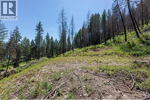 9508 Winchester Road Unit# (Parcel C) - Photo 16