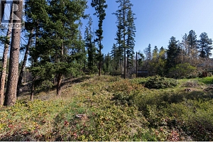 3297 Hall Road - Photo 2