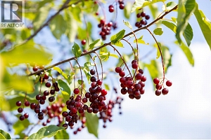 230 Mendenhall Road - Photo 26