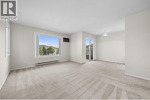 2035 Baron Road Unit# 307 - Photo 9
