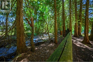 855 Salmon River Road - Photo 47