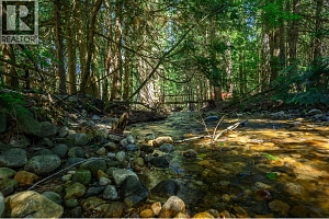 855 Salmon River Road - Photo 48