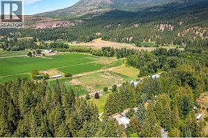 855 Salmon River Road - Photo 50