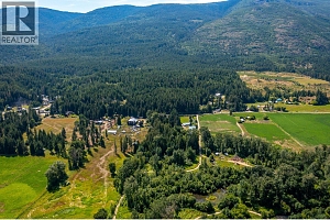 855 Salmon River Road - Photo 54