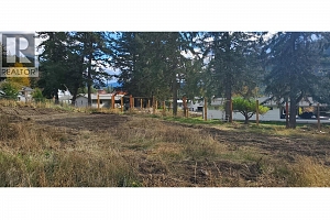 Lot A Tuktakamin Road - Photo 12