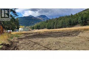 Lot A Tuktakamin Road - Photo 13