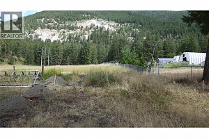 Lot A Tuktakamin Road - Photo 14