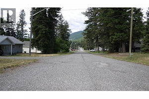 Lot A Tuktakamin Road - Photo 17