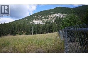 Lot A Tuktakamin Road - Photo 4