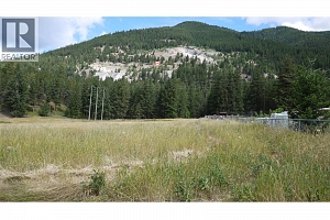 Lot A Tuktakamin Road - Photo 5
