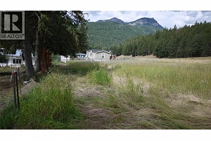 Lot A Tuktakamin Road - Photo 6