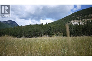 Lot A Tuktakamin Road - Photo 7