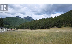 Lot A Tuktakamin Road - Photo 9