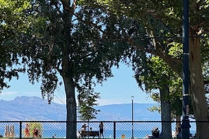 3389 LAKESHORE Road Unit# 312 Lot# 35 - Photo 42